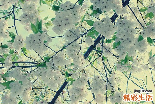 3 太极的起源与发展