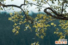 2023年三伏天一般在几月