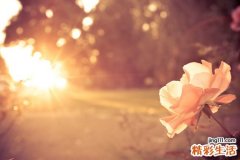【生孩子的最佳姿势】生孩子如何缓解疼痛