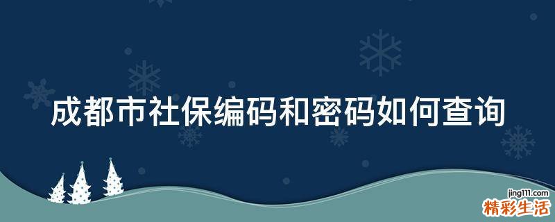 成都市社保编码和密码如何查询