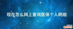 现在怎么网上查询医保个人明细