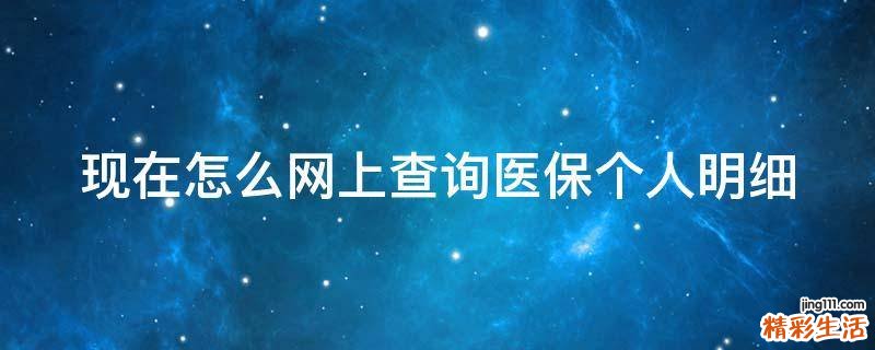 现在怎么网上查询医保个人明细
