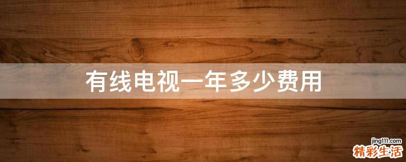 有线电视一年多少费用