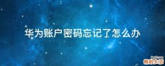 华为账户密码忘记了怎么办
