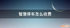 智慧停车怎么收费