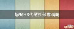 蚂蚁HR代缴社保靠谱吗
