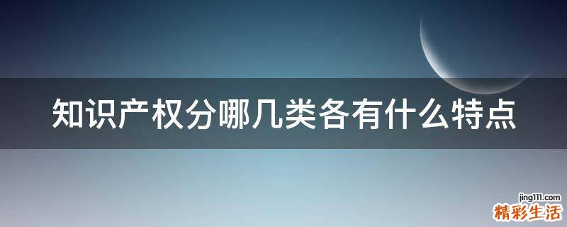 知识产权分哪几类各有什么特点