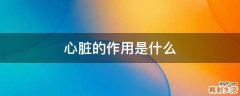 心脏的作用是什么