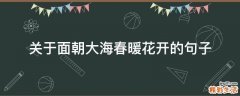 关于面朝大海春暖花开的句子