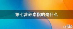 第七营养素指的是什么