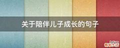 关于陪伴儿子成长的句子