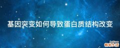 基因突变如何导致蛋白质结构改变
