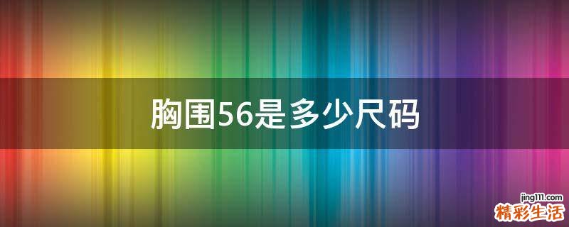 胸围56是多少尺码