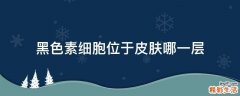 黑色素细胞位于皮肤哪一层