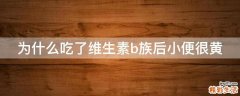 为什么吃了维生素b族后小便很黄