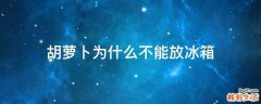 胡萝卜为什么不能放冰箱