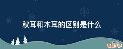 秋耳和木耳的区别是什么