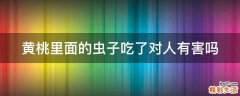 黄桃里面的虫子吃了对人有害吗
