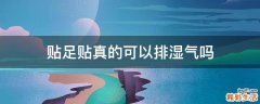 贴足贴真的可以排湿气吗