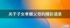 关于子女孝顺父母的精彩语录