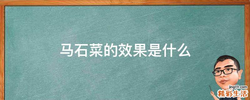 马石菜的效果是什么