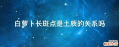 白萝卜长斑点是土质的关系吗
