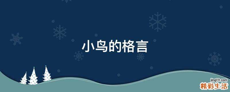 小鸟的格言