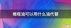 橄榄油可以用什么油代替