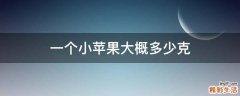 一个小苹果大概多少克