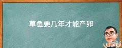 草鱼要几年才能产卵