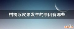 柑橘浮皮果发生的原因有哪些