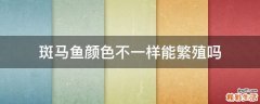 斑马鱼颜色不一样能繁殖吗