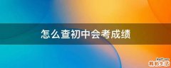 怎么查初中会考成绩