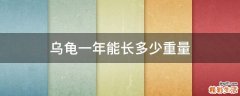 乌龟一年能长多少重量