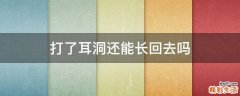 打了耳洞还能长回去吗