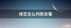 绿豆怎么判断发霉