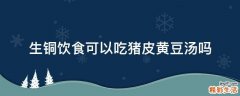 生铜饮食可以吃猪皮黄豆汤吗