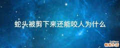 蛇头被剪下来还能咬人为什么