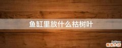 鱼缸里放什么枯树叶