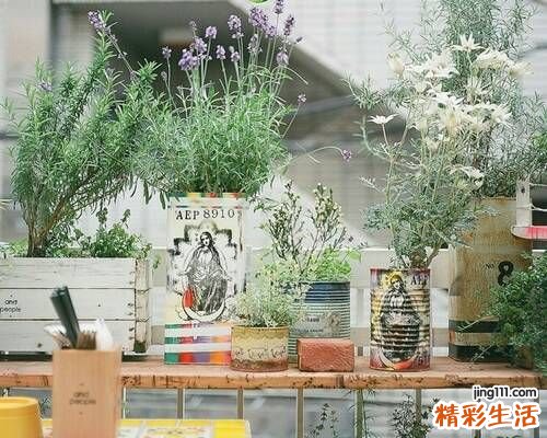 4 16式太极拳手法解读