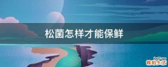 松菌怎样才能保鲜