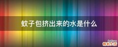 蚊子包挤出来的水是什么