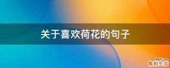关于喜欢荷花的句子