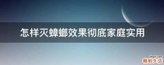 怎样灭蟑螂效果彻底家庭实用