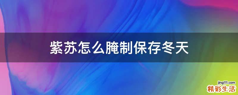 紫苏怎么腌制保存冬天