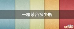 一箱茅台多少瓶