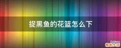 捉黑鱼的花篮怎么下