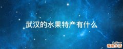 武汉的水果特产有什么