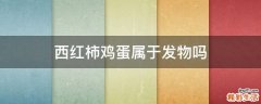 西红柿鸡蛋属于发物吗
