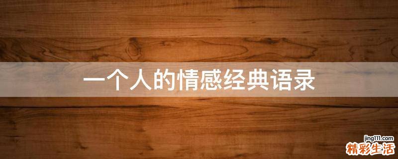 一个人的情感经典语录